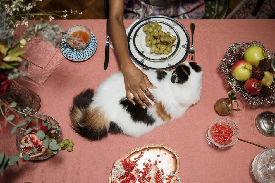 Top Facts You Need to Know About Hypoallergenic Cat Food