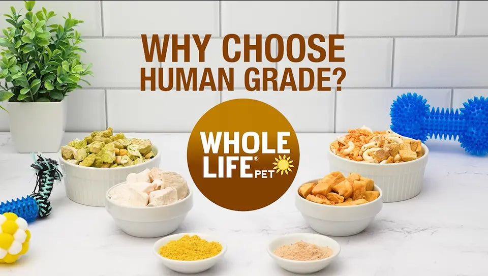 Best human grade food for dogs hot sale