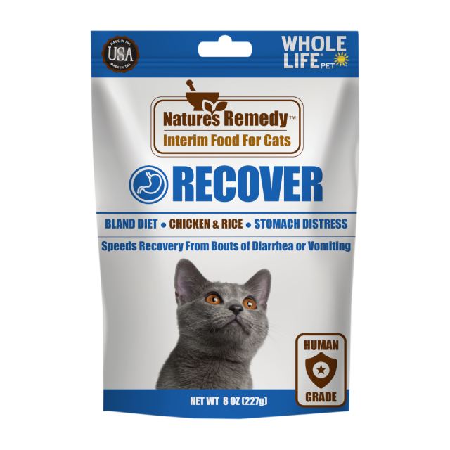Cat vomiting and diarrhea home remedies best sale