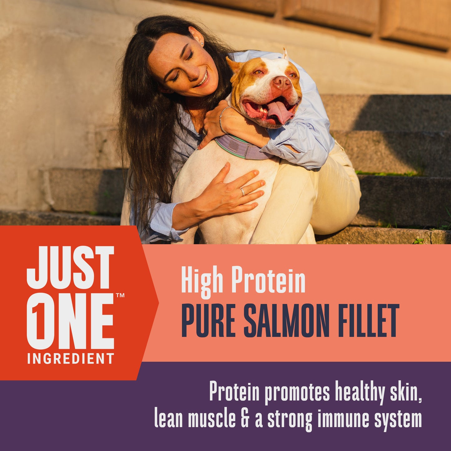 Just One Ingredient Salmon Treats For Dogs. Human Grade and Grain Free - Made In Our Own Kitchen