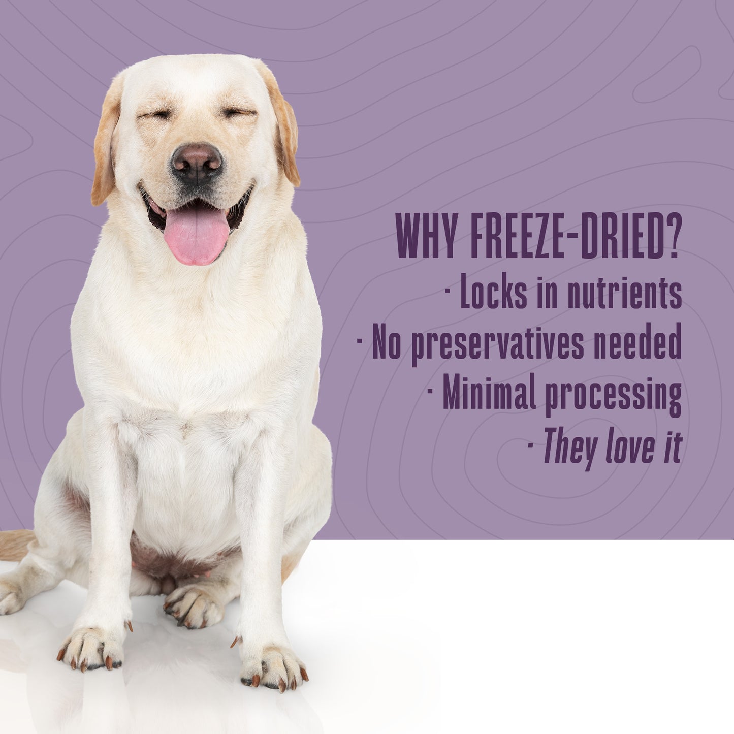 Just One Ingredient Salmon Treats For Dogs. Human Grade and Grain Free - Made In Our Own Kitchen