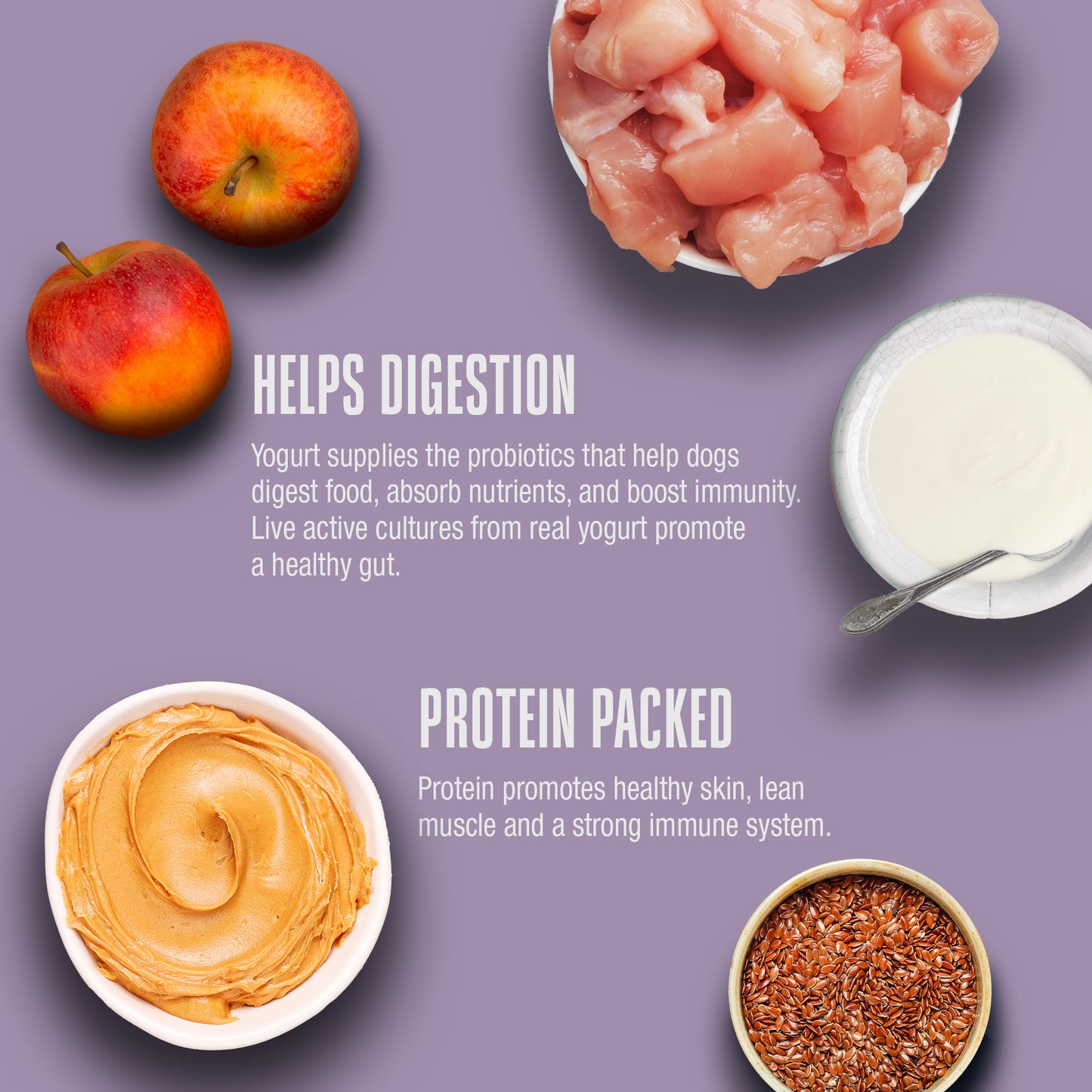 Living Treats – Peanut Butter and Yogurt Recipe Probiotic Treats For Dogs. Human Grade and Grain Free - Made In Our Own Kitchen
