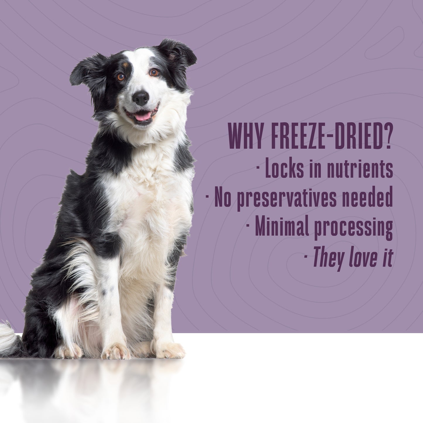 Nature’s Remedy Healthy Skin & Allergy Support. Human-Grade, Grain-Free, Whole Food Supplement for Dogs - Made in Our Own Kitchens