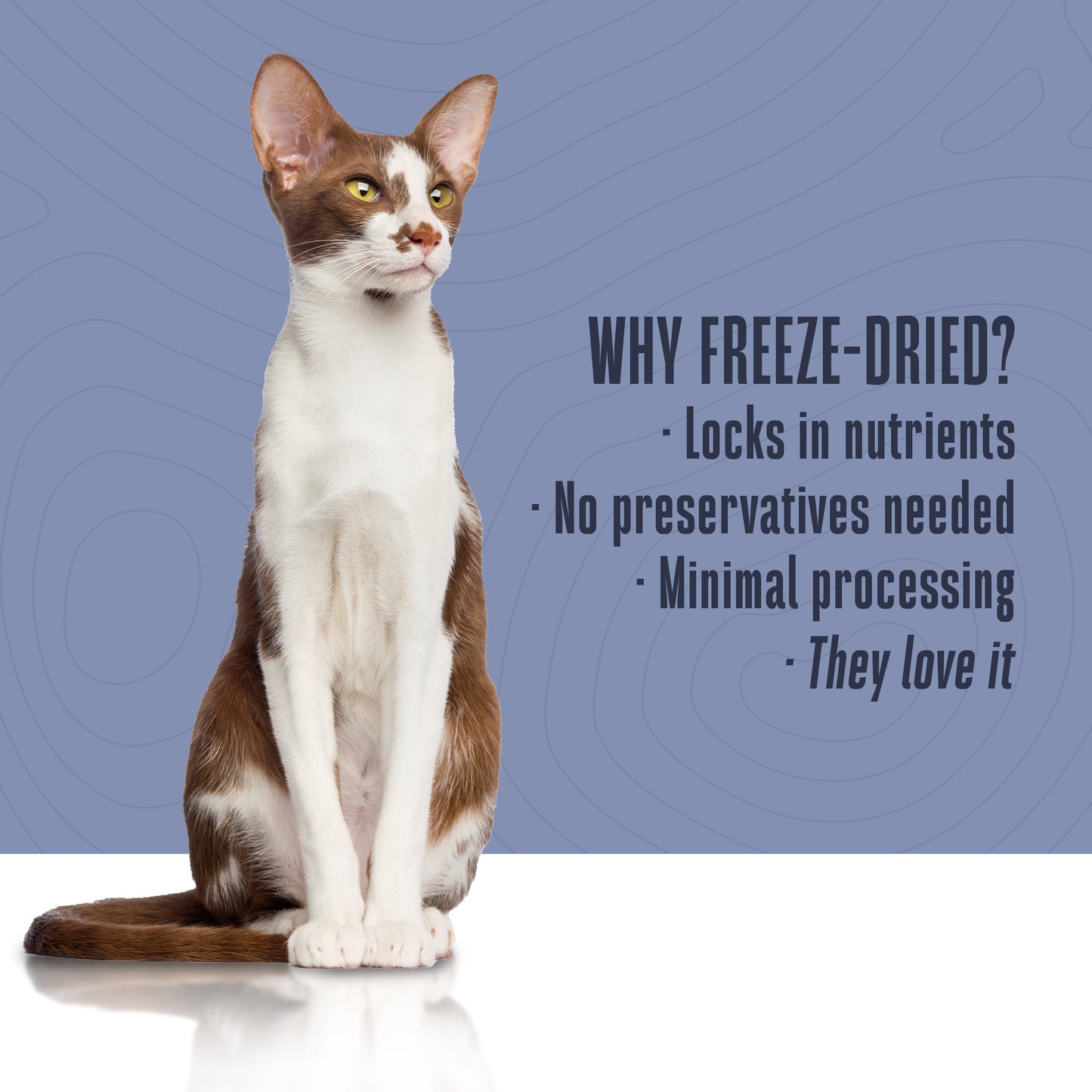 Freeze-Dried Wet Food For Cats – Shredded Tuna Chunks in Gravy