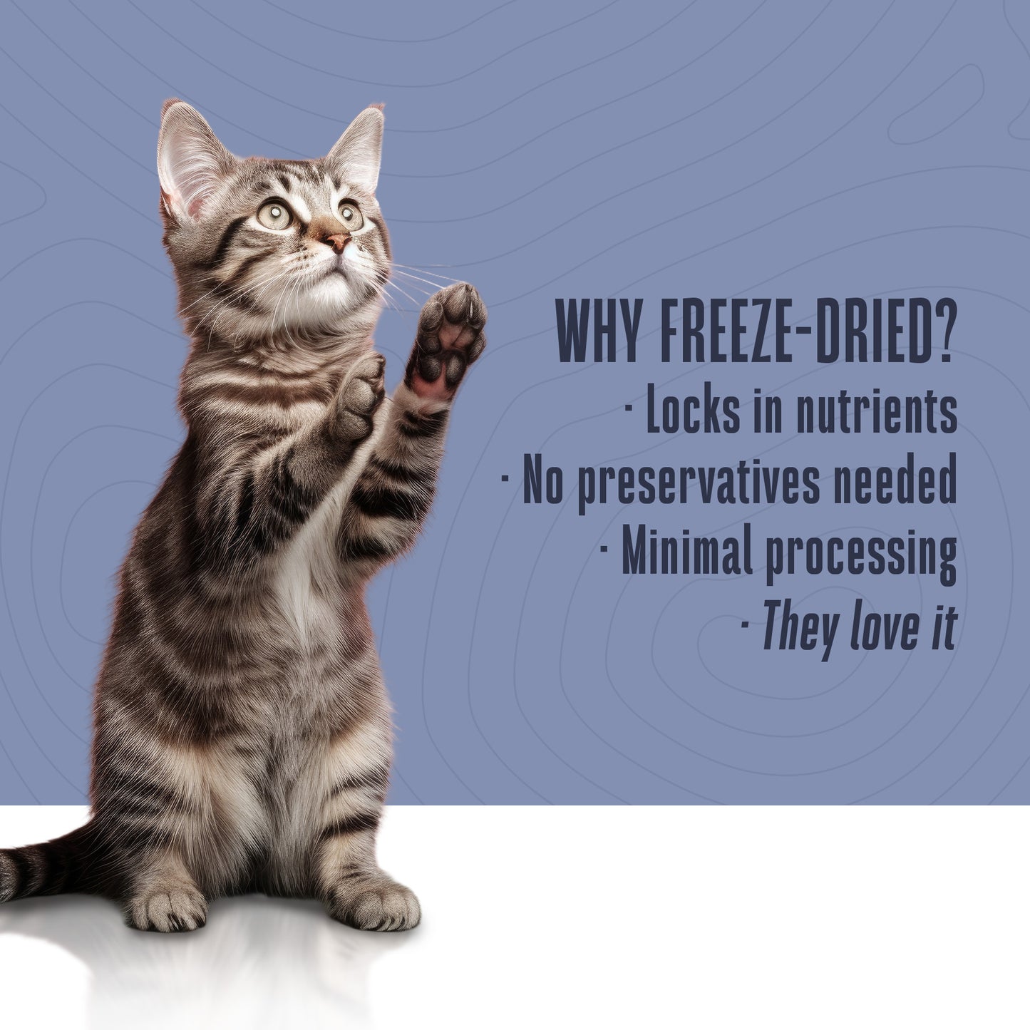Freeze-Dried Wet Food For Cats – Shredded Chicken Chunks in Gravy