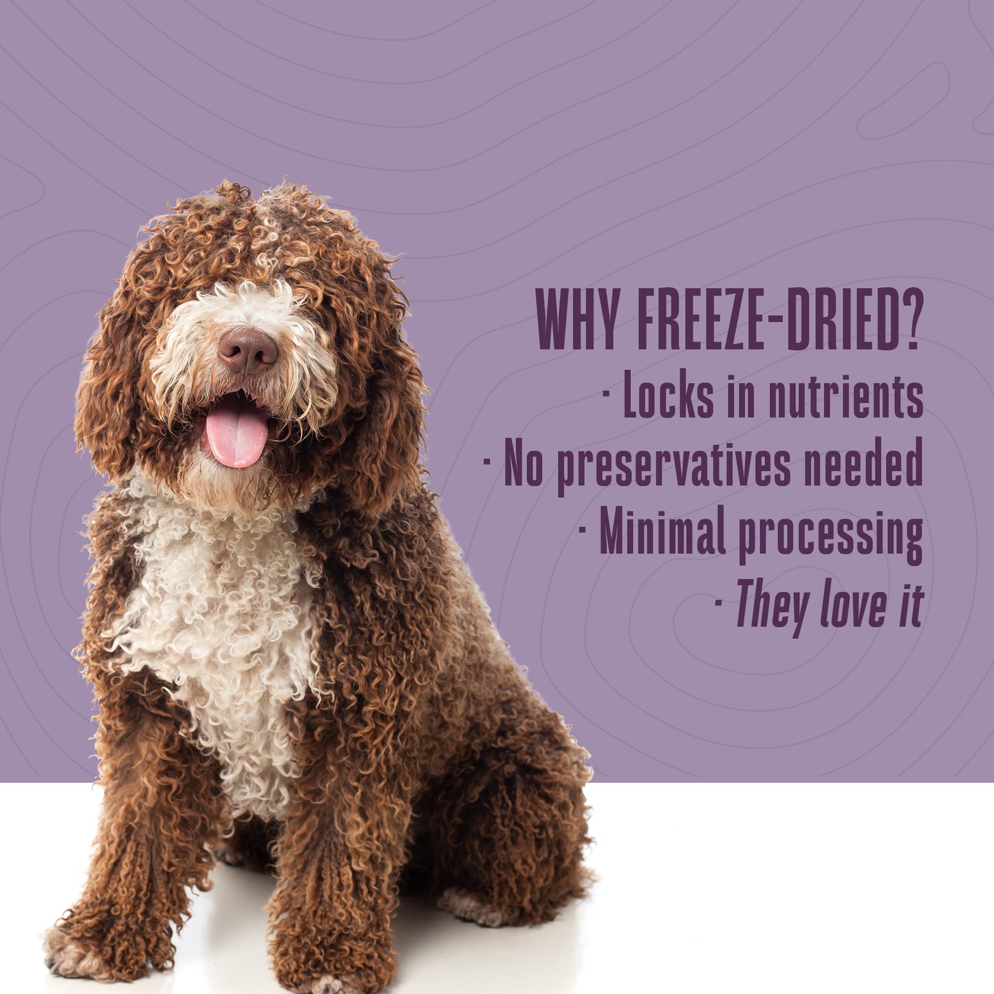Nature’s Remedy Beef & Rice for Dogs. Human-Grade Interim Diet for Stomach Upset - Made in Our Own Kitchens