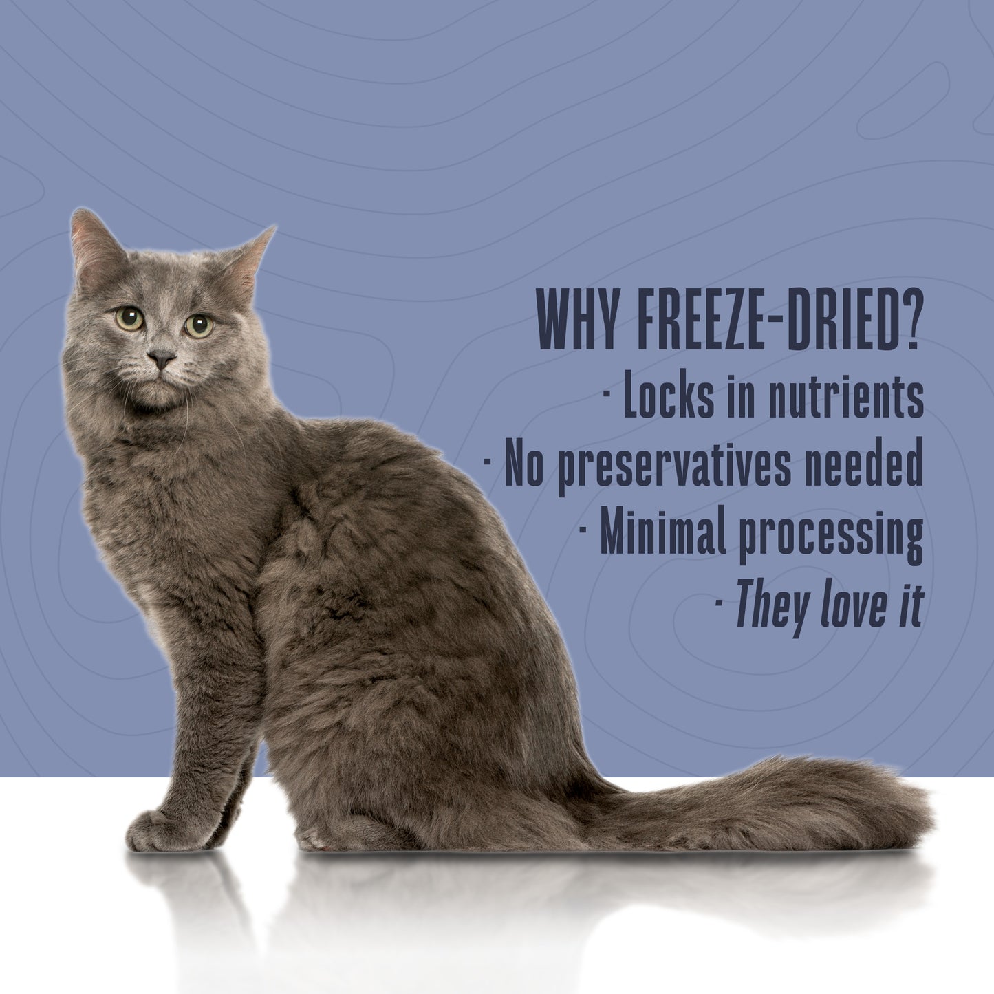 Freeze-Dried Wet Food For Cats – Shredded Salmon & Tuna Chunks in Gravy