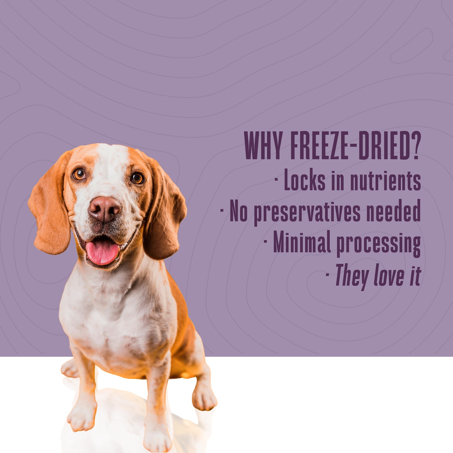 Living Treats – Peanut Butter and Yogurt Recipe Probiotic Treats For Dogs. Human Grade and Grain Free - Made In Our Own Kitchen