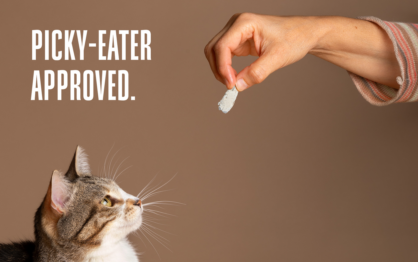 Cat looking at a treat held by a hand with text 'Picky-Eater Approved' on a brown background