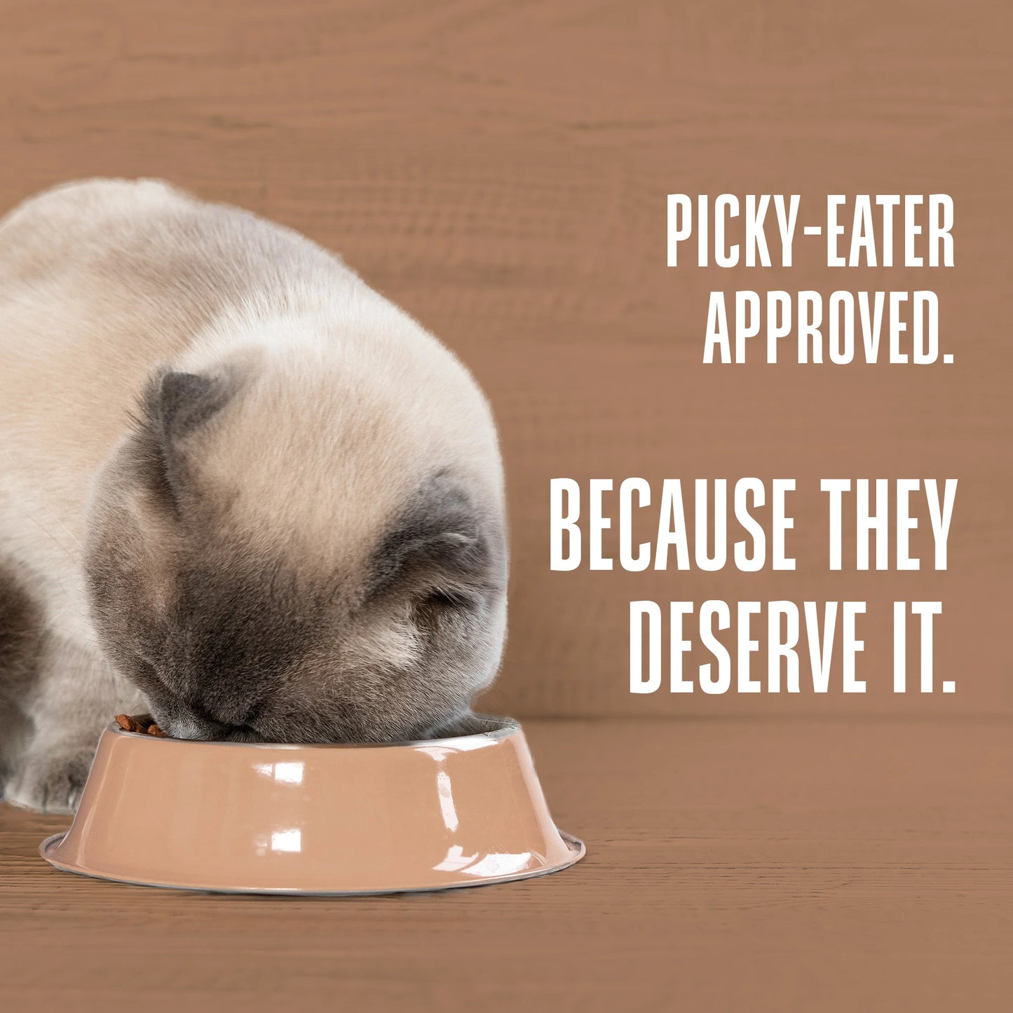 Cat eating from a bowl with text 'Picky-eater approved. Because they deserve it.' on a brown background