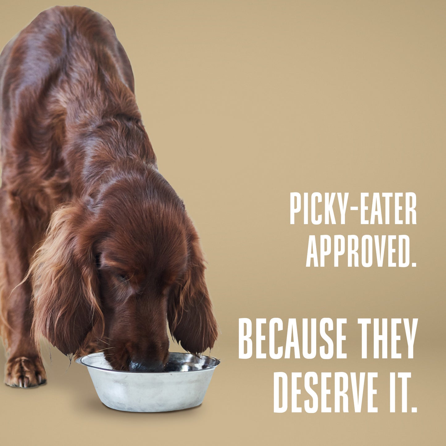 Nature’s Remedy Healthy Skin & Allergy Support. Human-Grade, Grain-Free, Whole Food Supplement for Dogs - Made in Our Own Kitchens