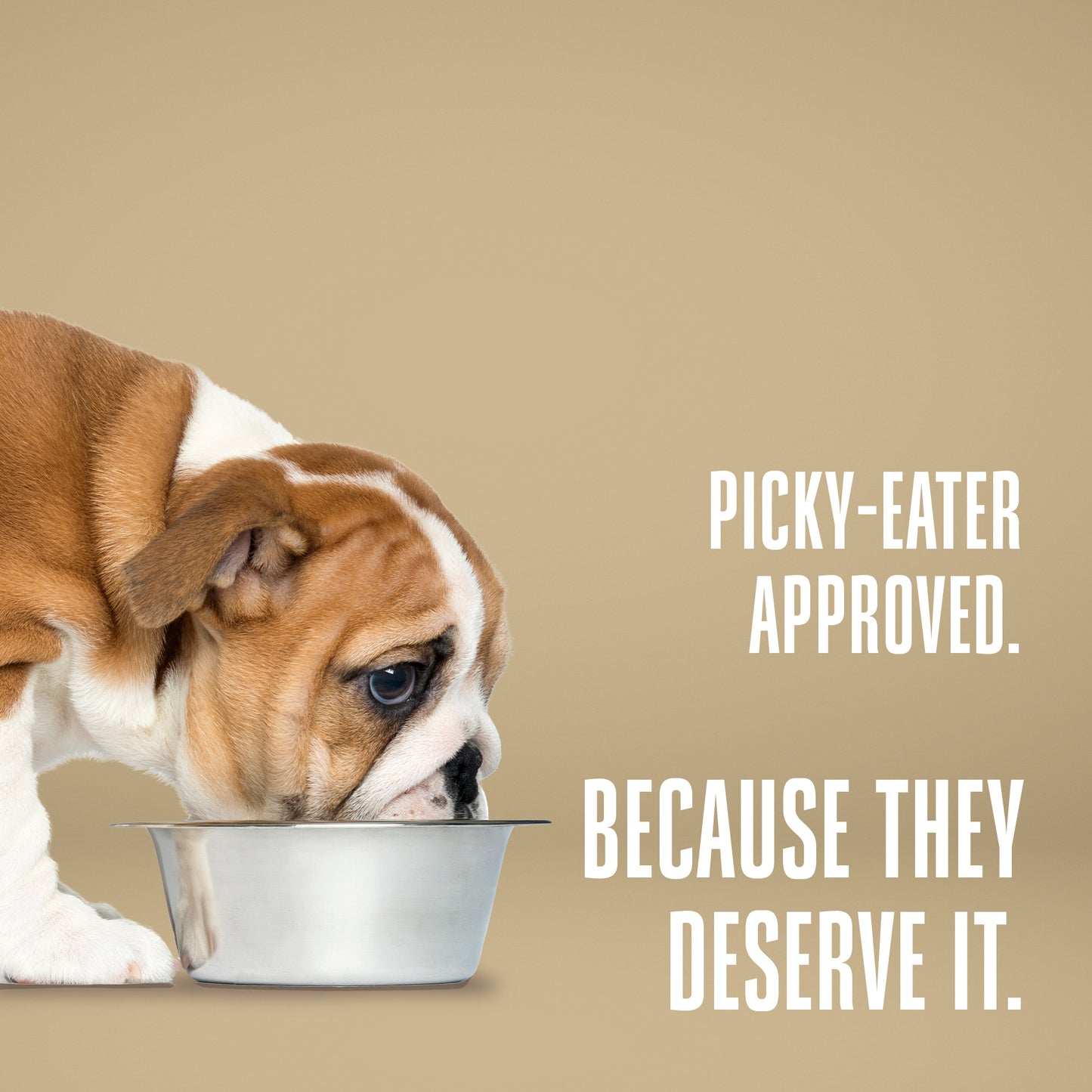 Nature’s Remedy Beef & Rice for Dogs. Human-Grade Interim Diet for Stomach Upset - Made in Our Own Kitchens