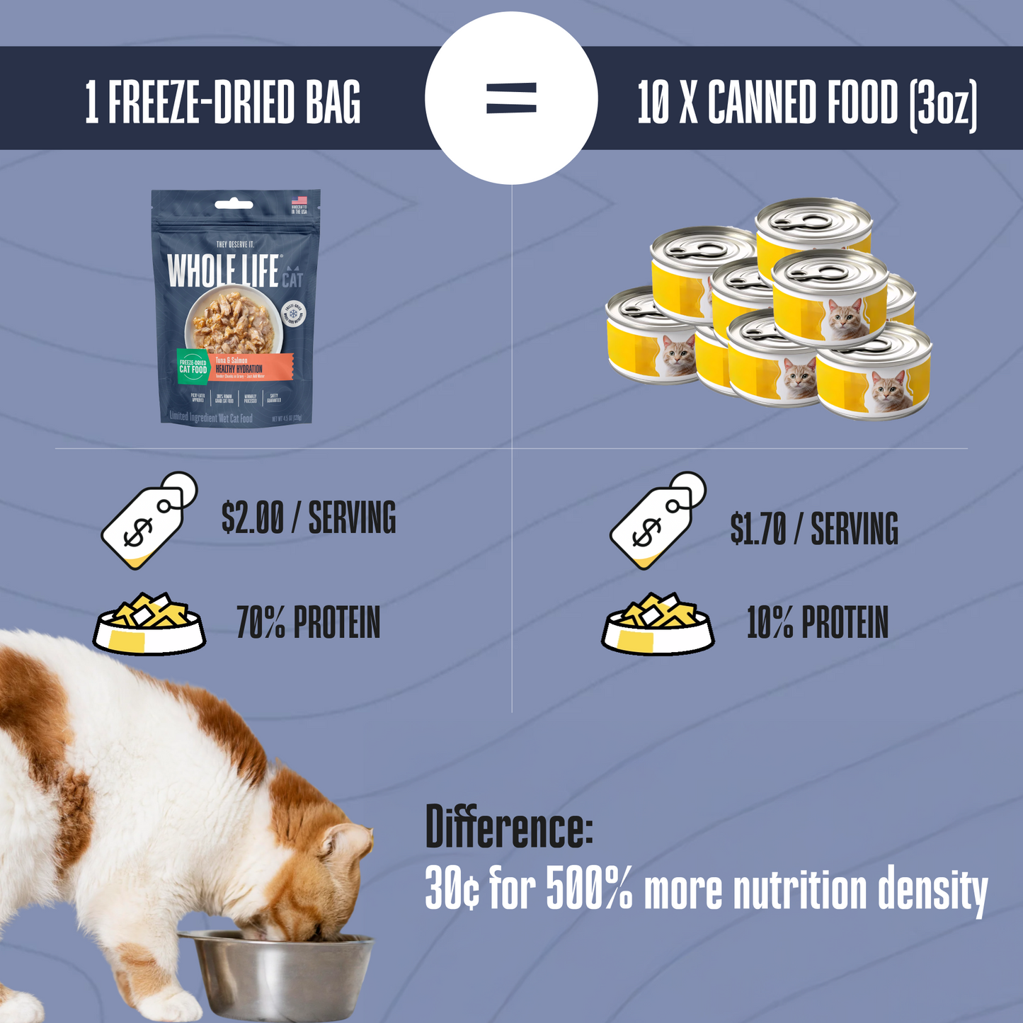 Freeze-Dried Wet Food for Cats