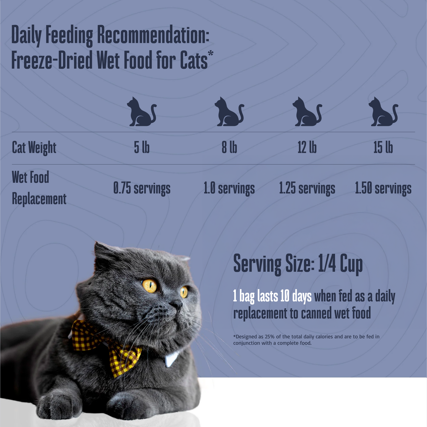 Freeze-Dried Wet Food for Cats V2
