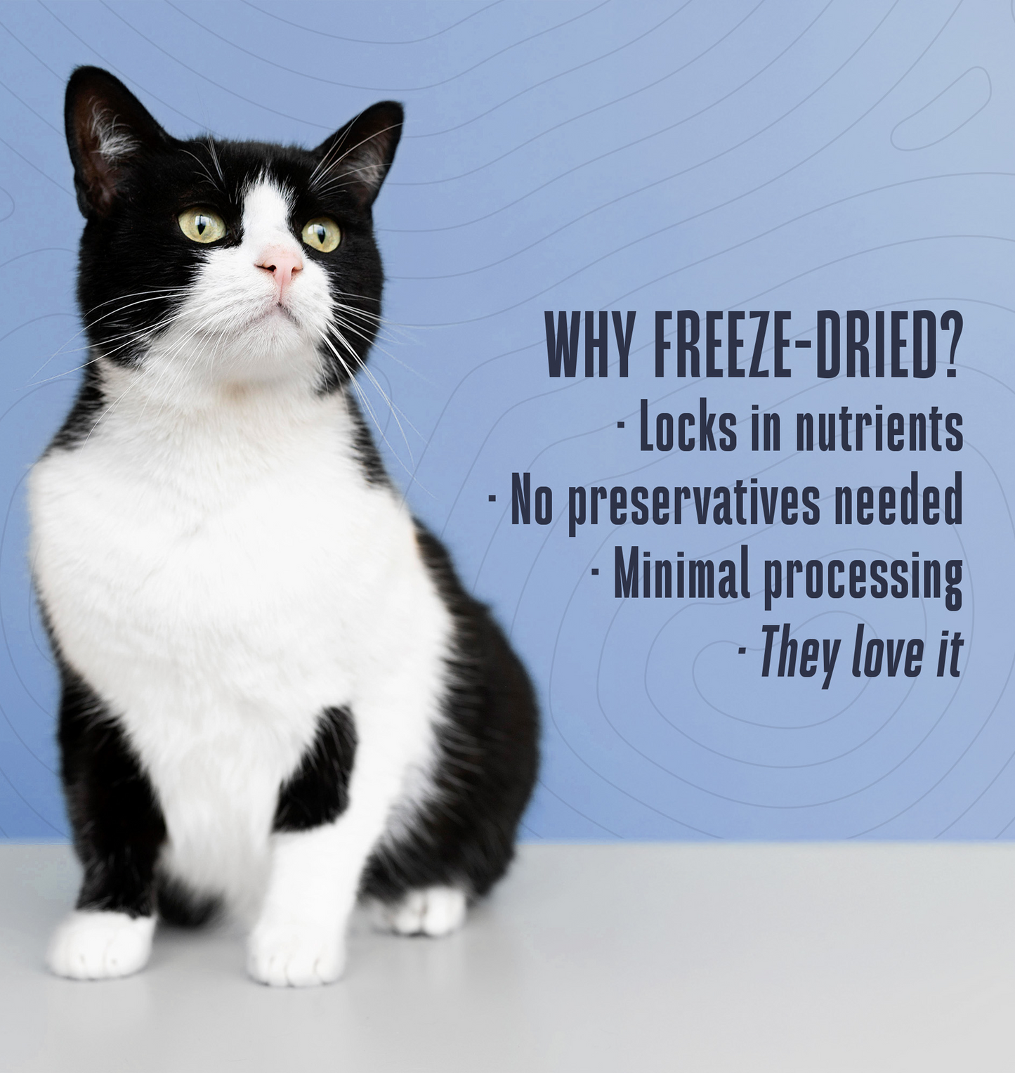 Just One Chicken Cat Treats – Human Grade, Picky Eater Approved, Made in Our Own Kitchens