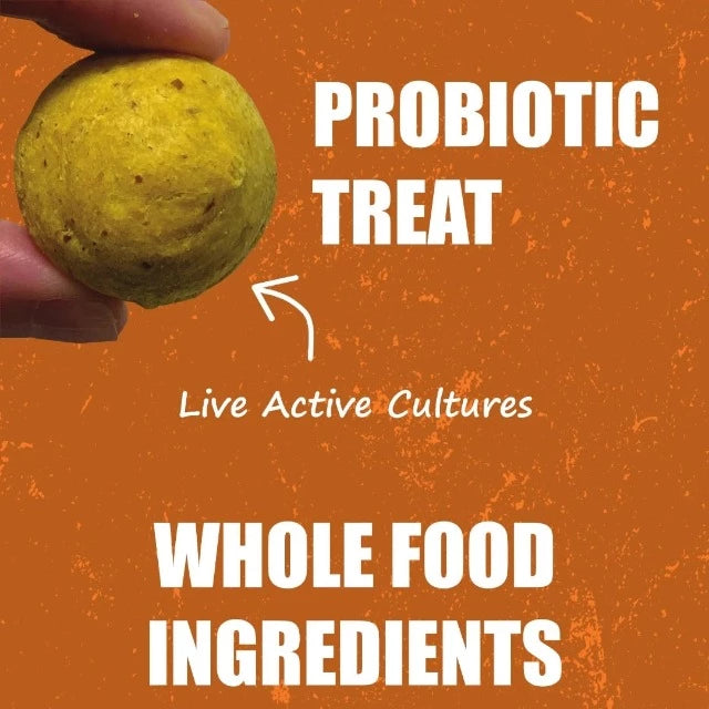 Living Treats – Pumpkin and Yogurt Recipe Probiotic Treats For Dogs