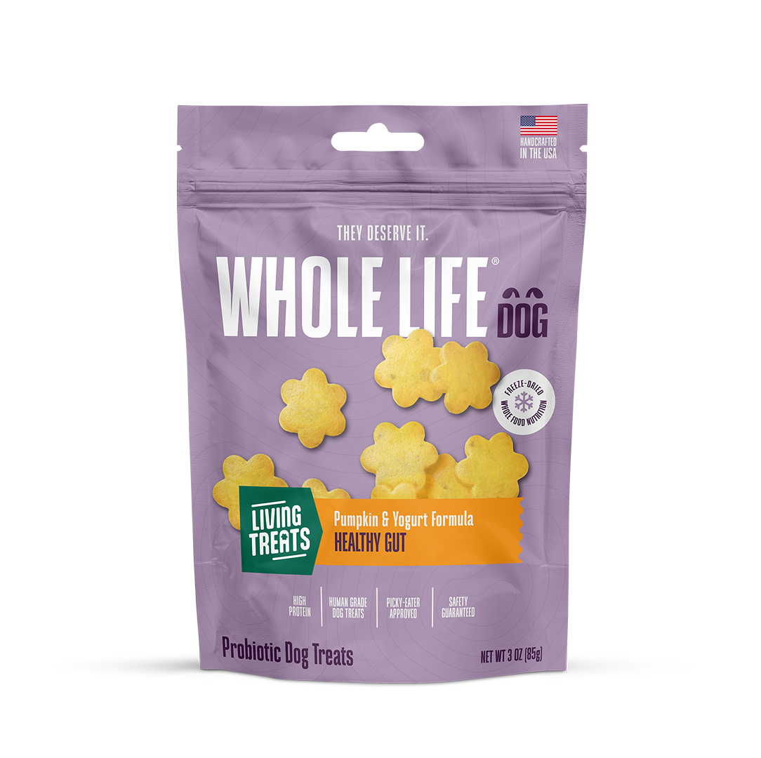Living Treats – Pumpkin and Yogurt Recipe Probiotic Treats For Dogs. Human Grade and Grain Free - Made In Our Own Kitchen