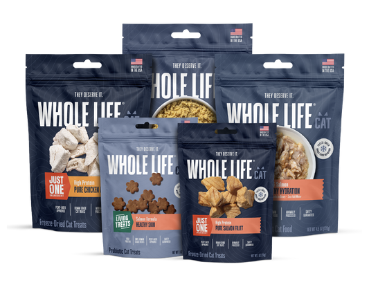 Explorer’s Pack for Cats