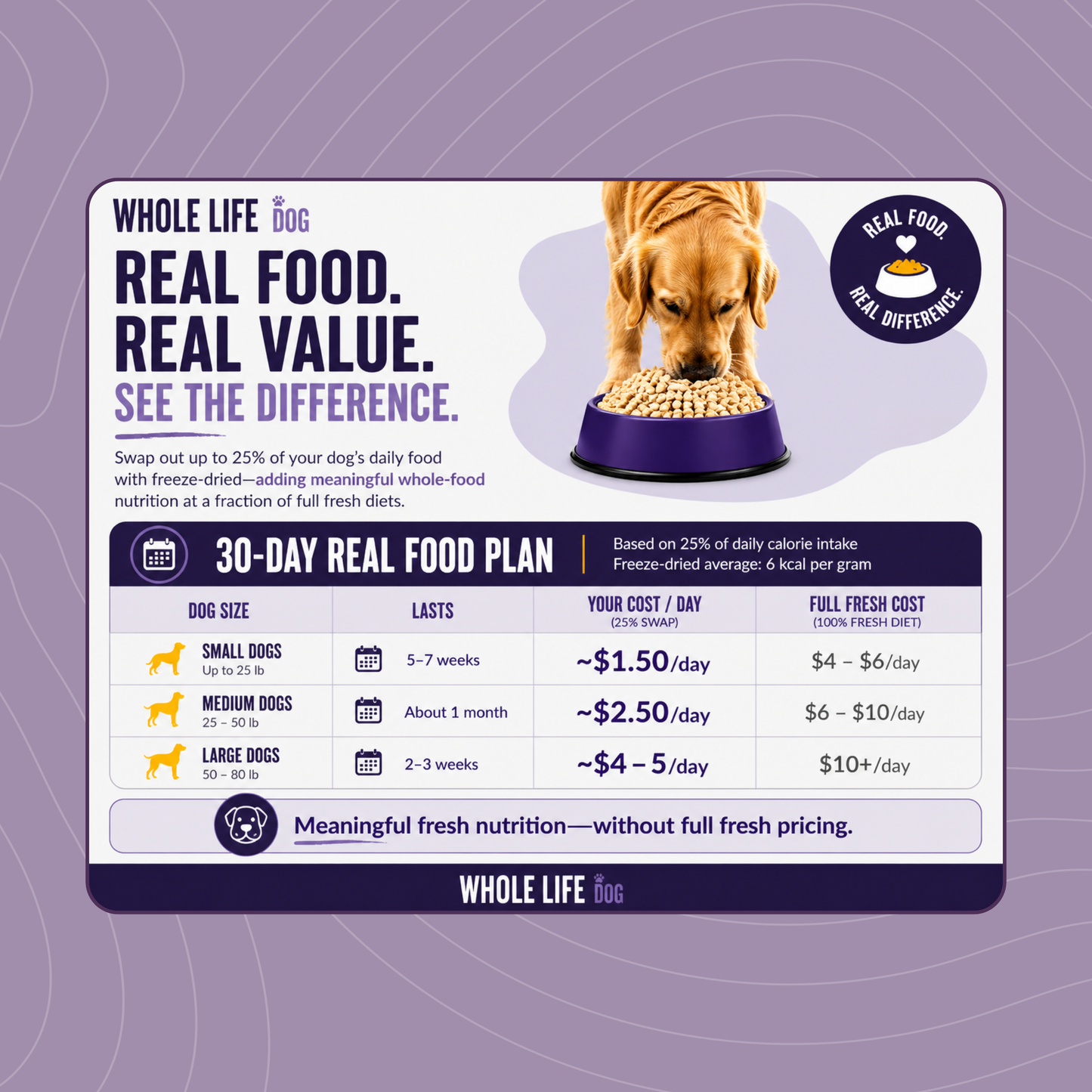No-Fridge Fresh: Chicken Lovers Bundle