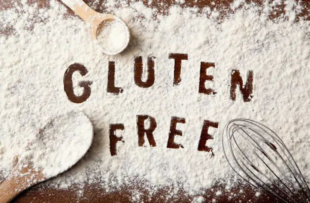 The Top 5 Ingredients to Look For in Gluten-Free Pet Food