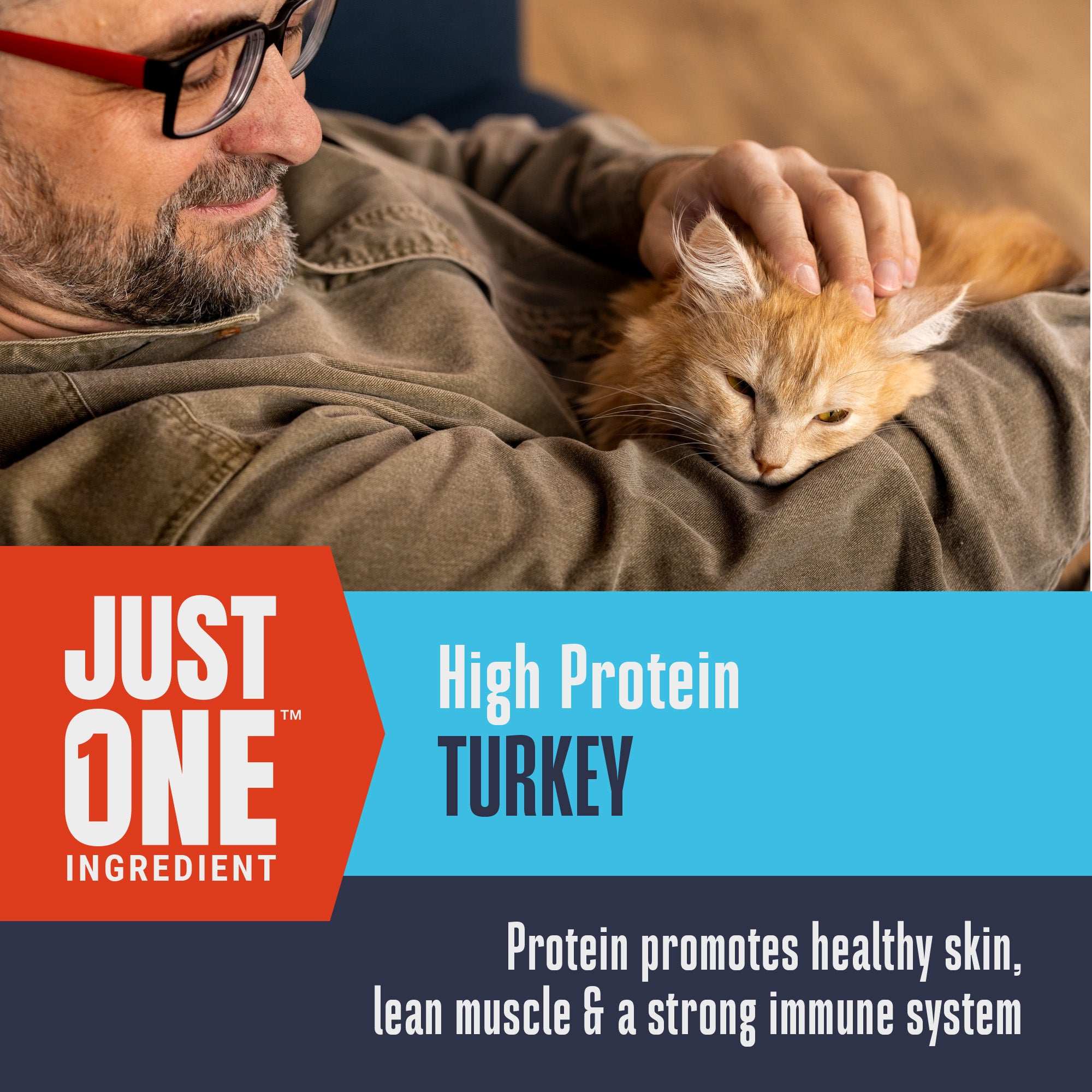 Just One Ingredient Turkey Treats For Cats