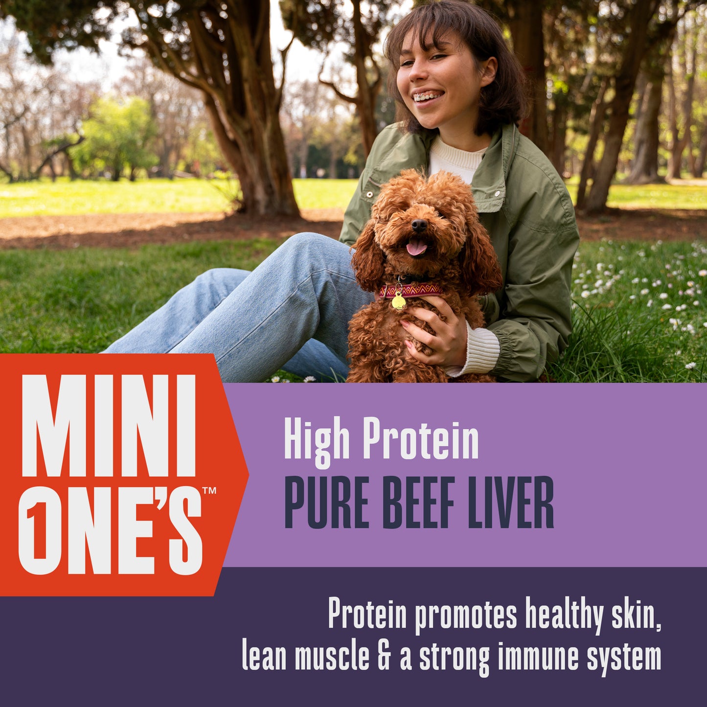 Golosinas de hígado de res Mini One's para razas pequeñas y de juguete o para entrenamiento 