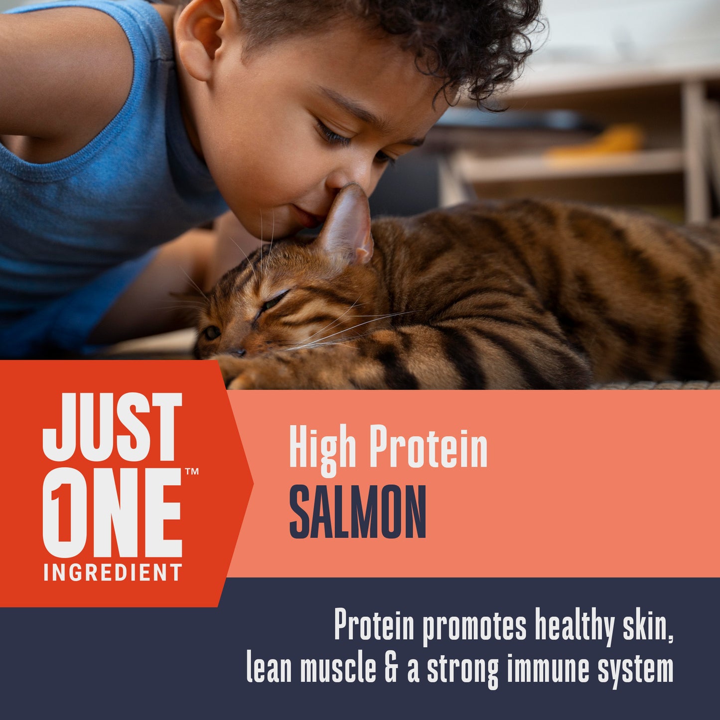 Just One Salmon Cat Treats – Human Grade, Picky Eater Approved, Made in Our Own Kitchens