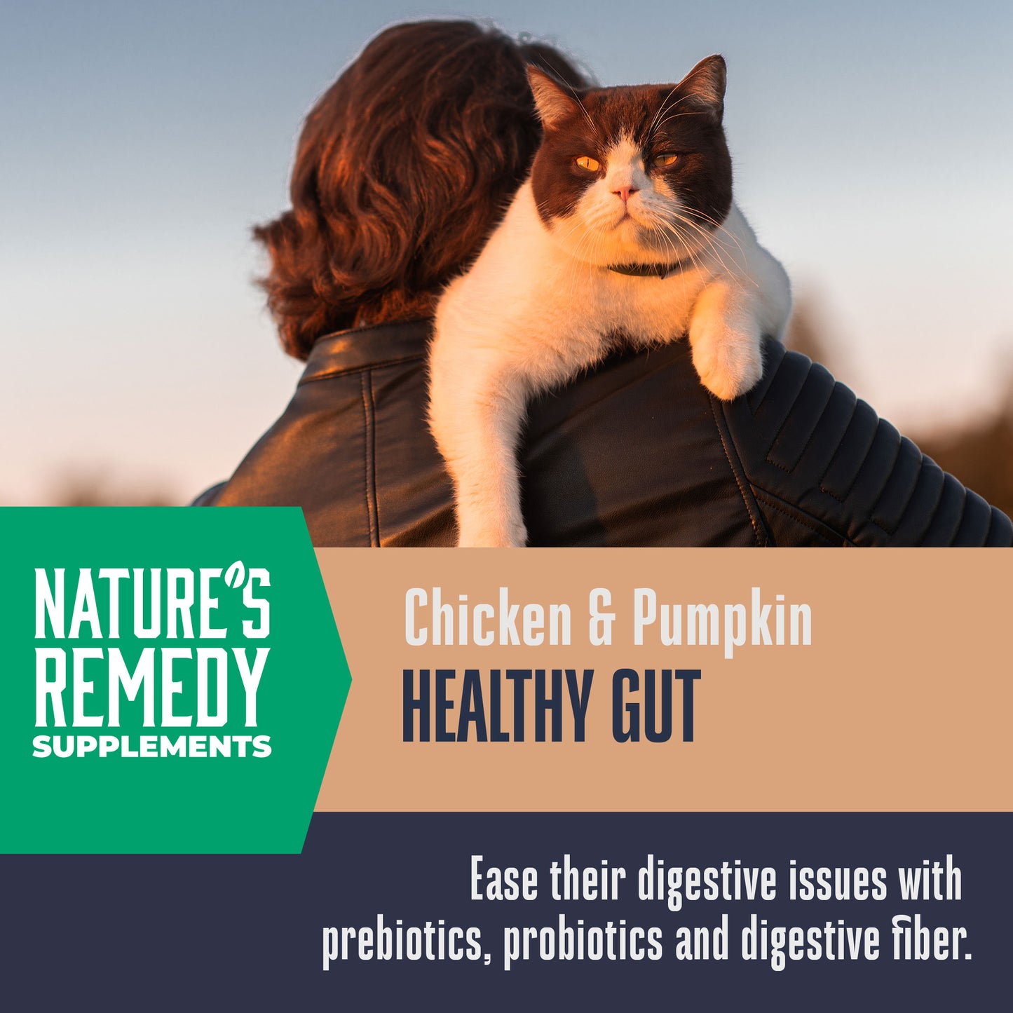 Suplementos alimenticios integrales para gatos de Nature's Remedy Healthy Gut 