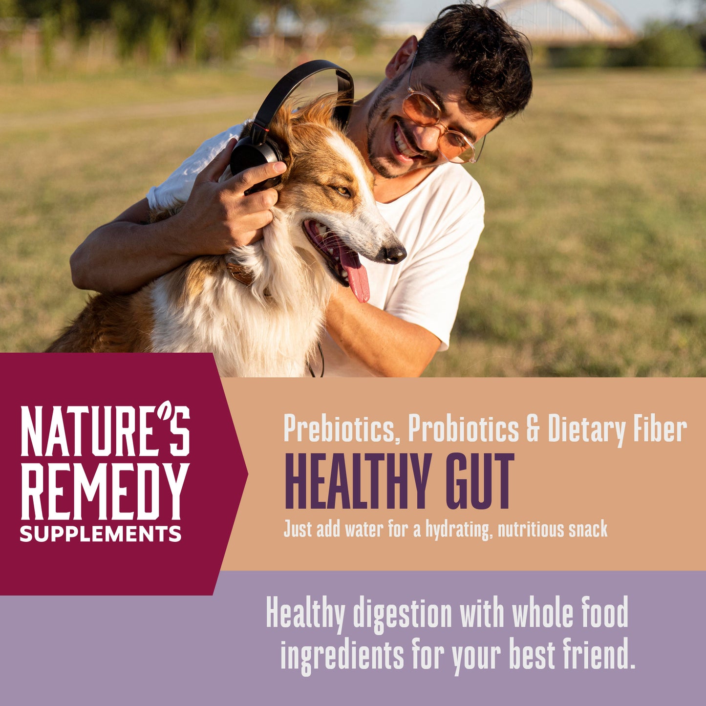 Suplementos alimenticios integrales para perros Nature's Remedy Healthy Gut 