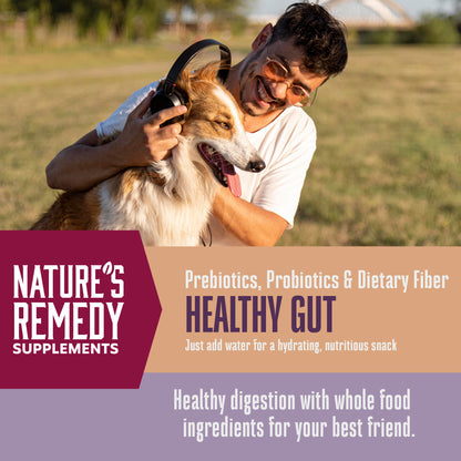 Suplementos alimenticios integrales para perros Nature's Remedy Healthy Gut 