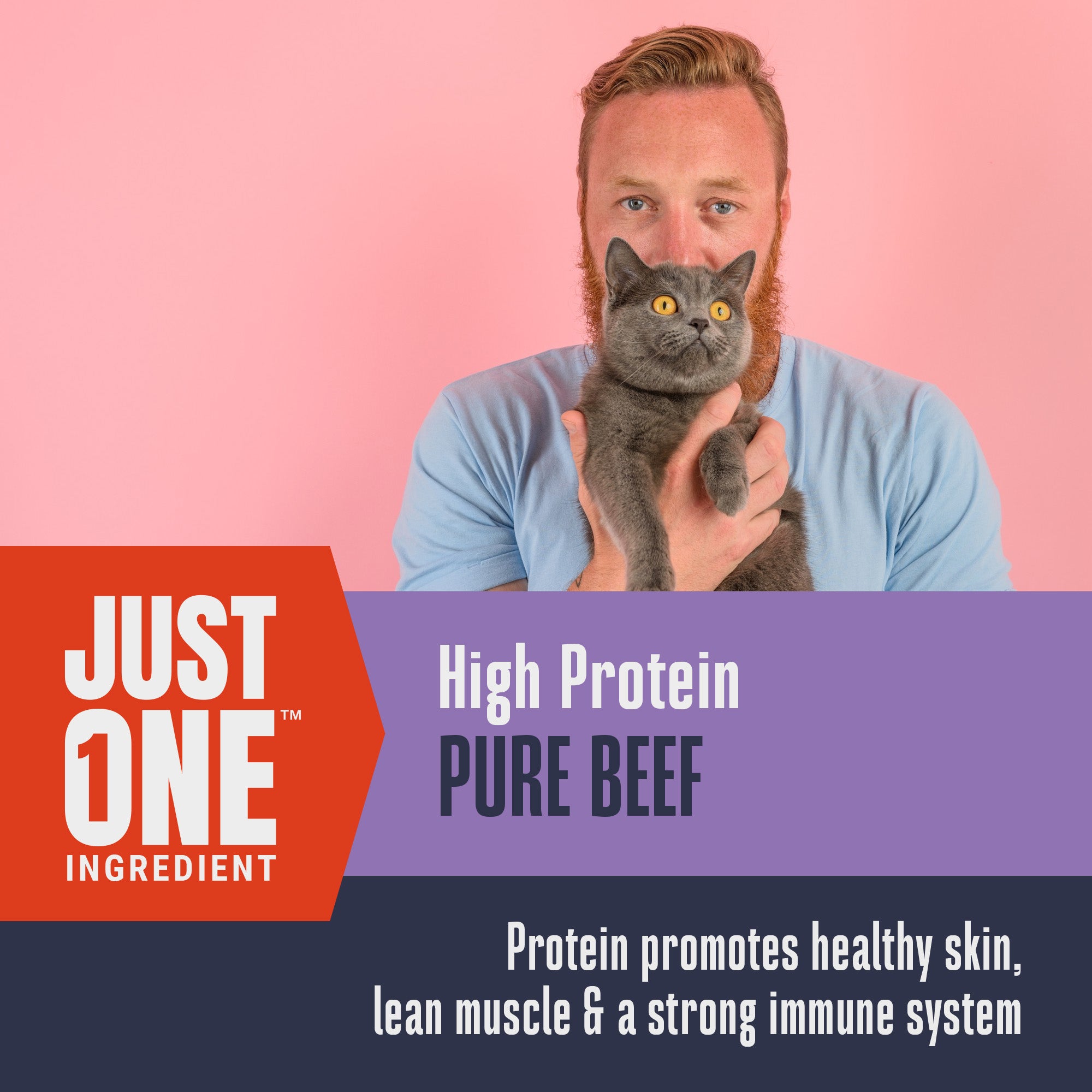 Just One Ingredient Beef Treats For Cats