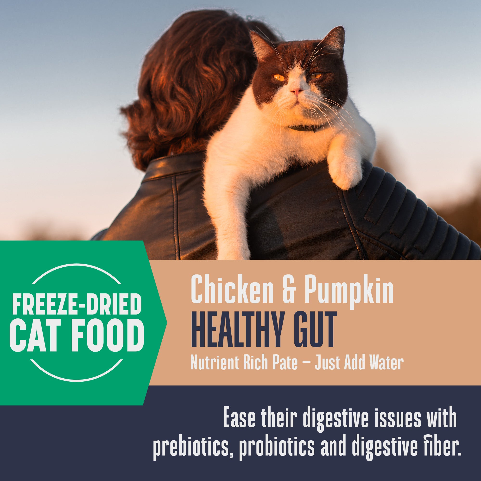 Suplementos alimenticios integrales para gatos de Nature's Remedy Healthy Gut 