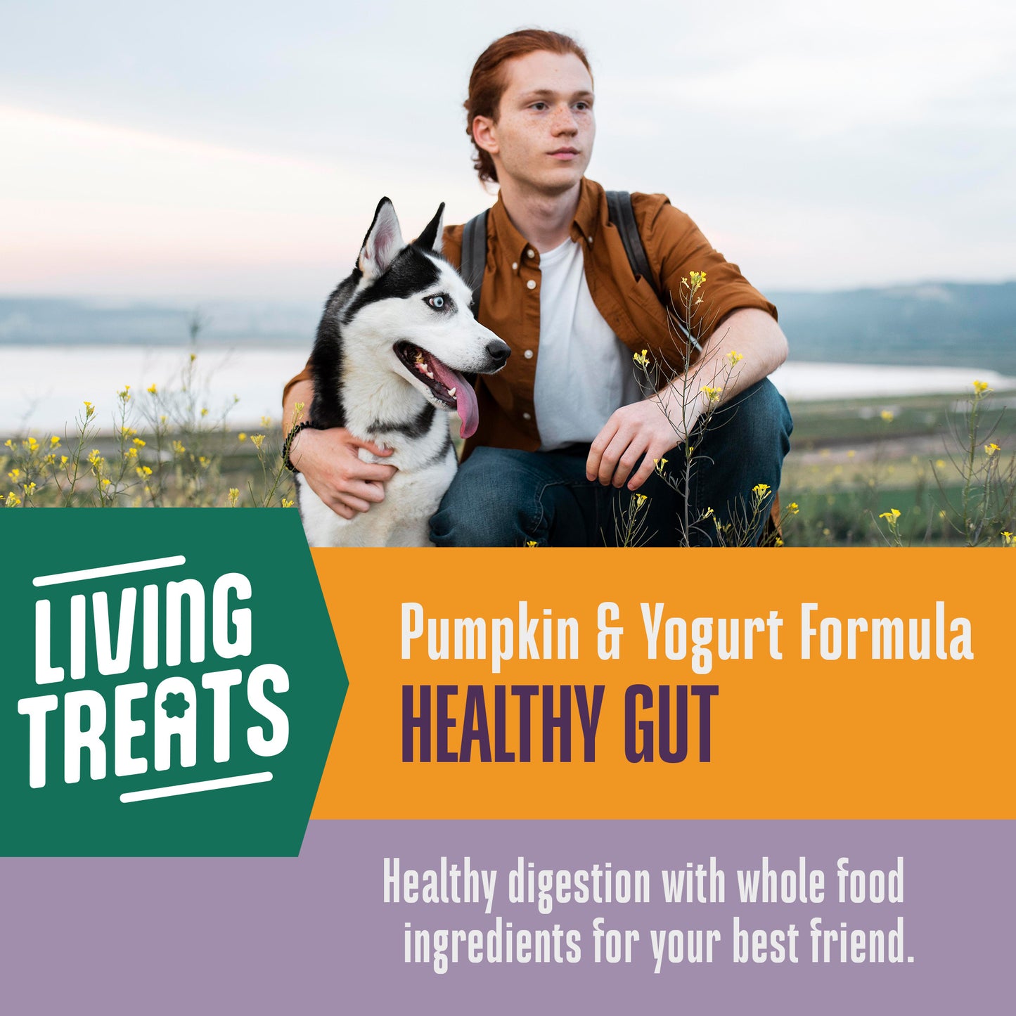 Living Treats – Pumpkin and Yogurt Recipe Probiotic Treats For Dogs.  Human Grade and Grain Free - Made In Our Own Kitchen