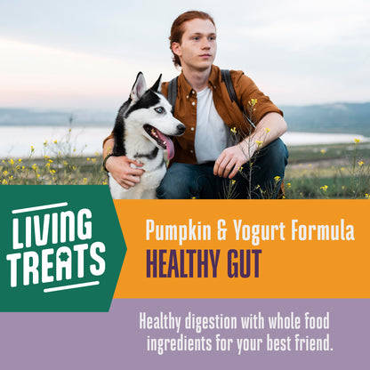 Living Treats – Pumpkin and Yogurt Recipe Probiotic Treats For Dogs.  Human Grade and Grain Free - Made In Our Own Kitchen