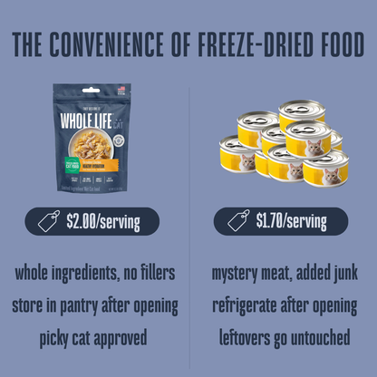 Freeze-Dried Wet Food for Cats