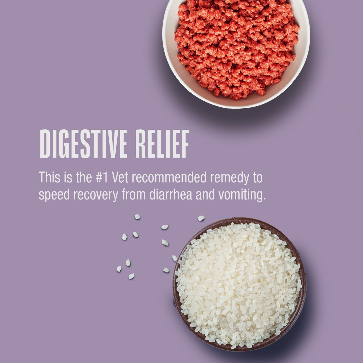 Nature’s Remedy Beef & Rice for Dogs.  Human-Grade Interim Diet for Stomach Upset - Made in Our Own Kitchens