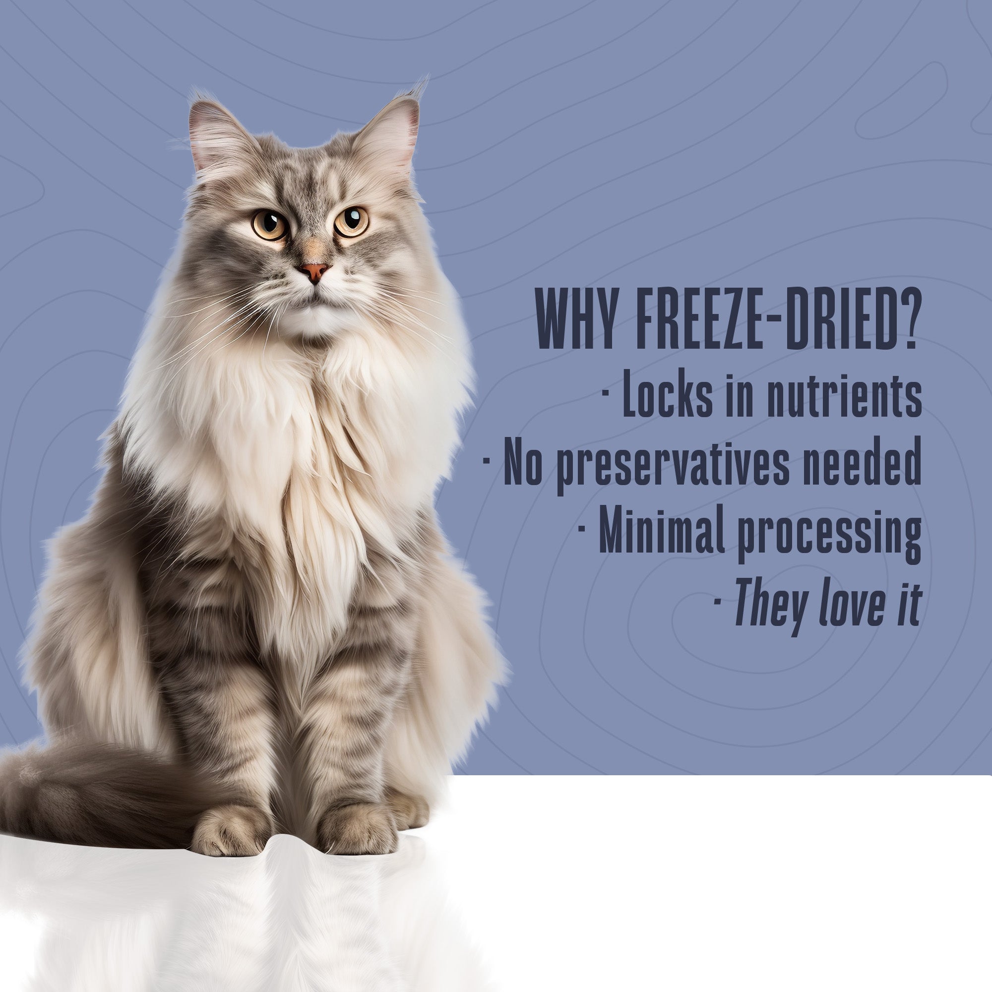 Just One Ingredient Variety Pack For Cats (Order All 6 Flavors and Get 10% Off)