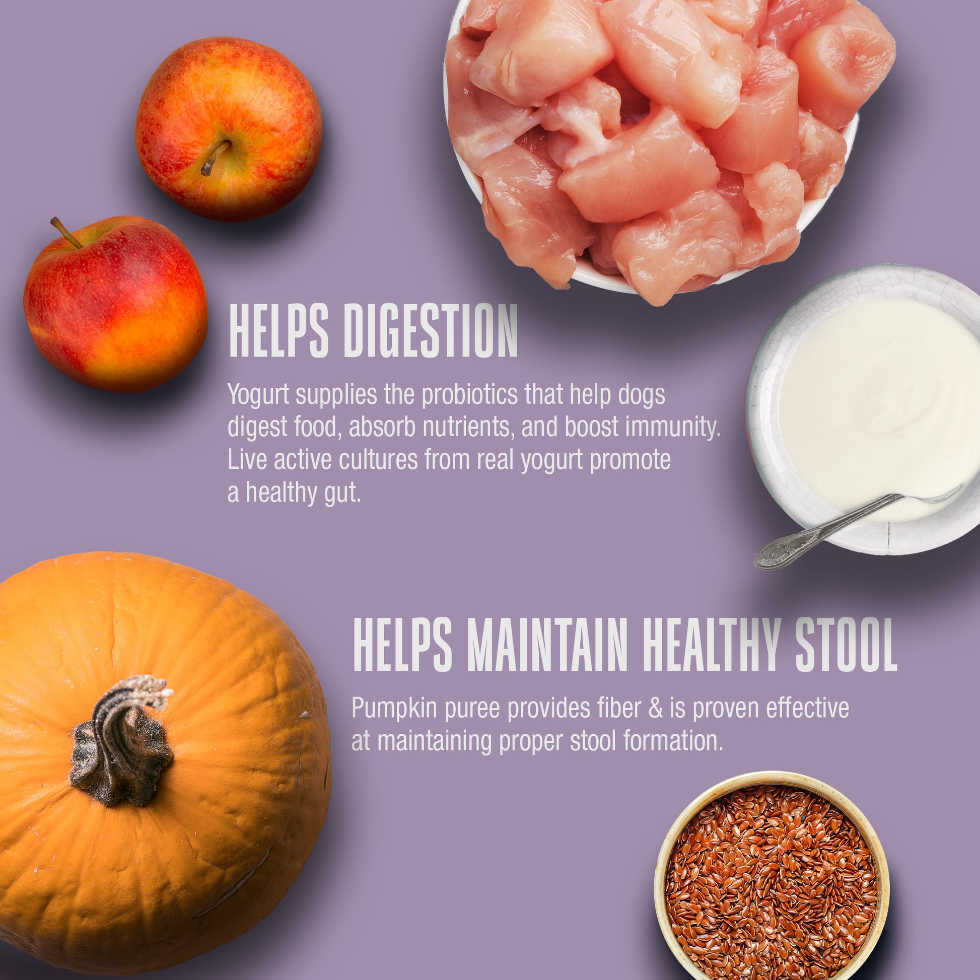 Living Treats – Pumpkin and Yogurt Recipe Probiotic Treats For