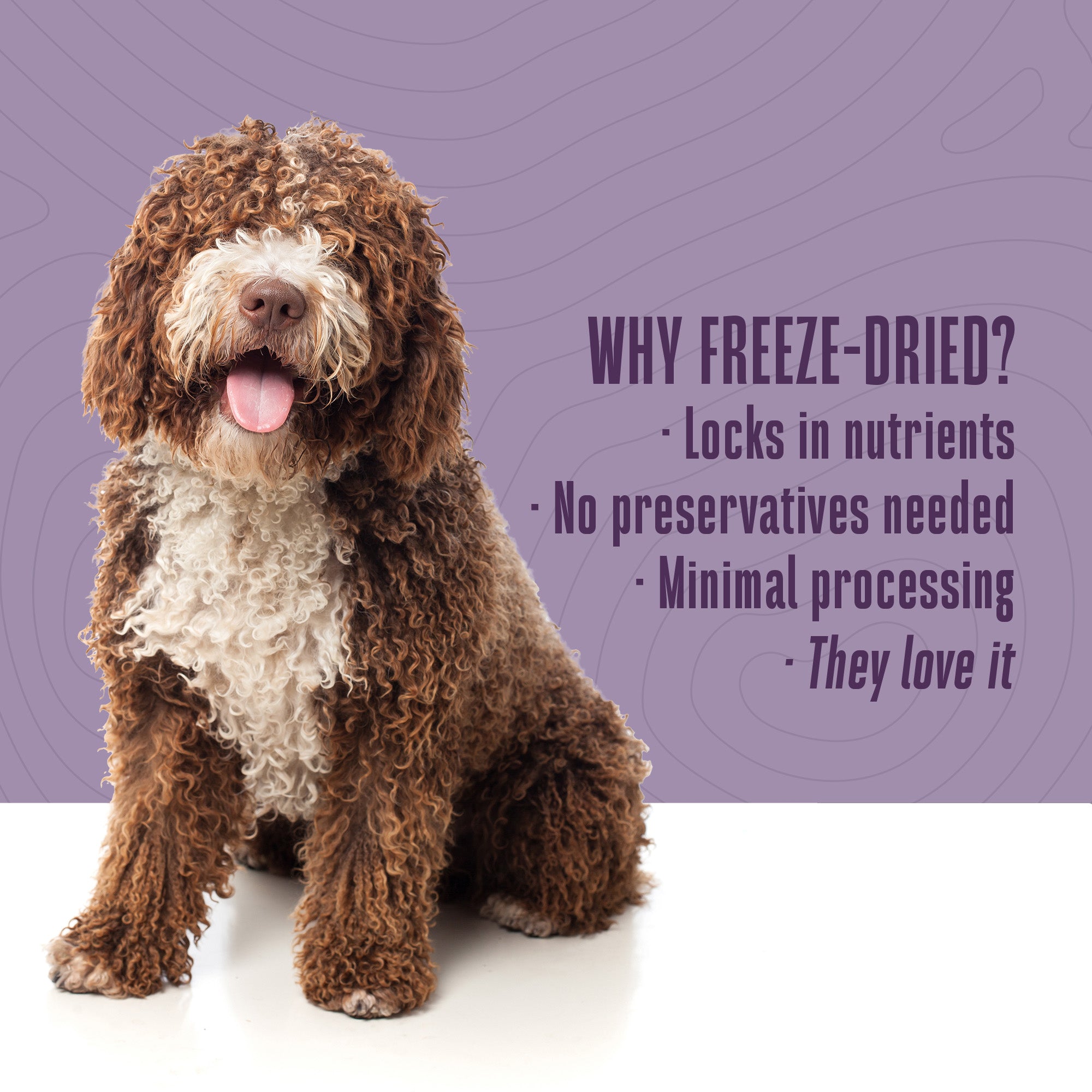 Just One Ingredient Chicken Treats For Dogs