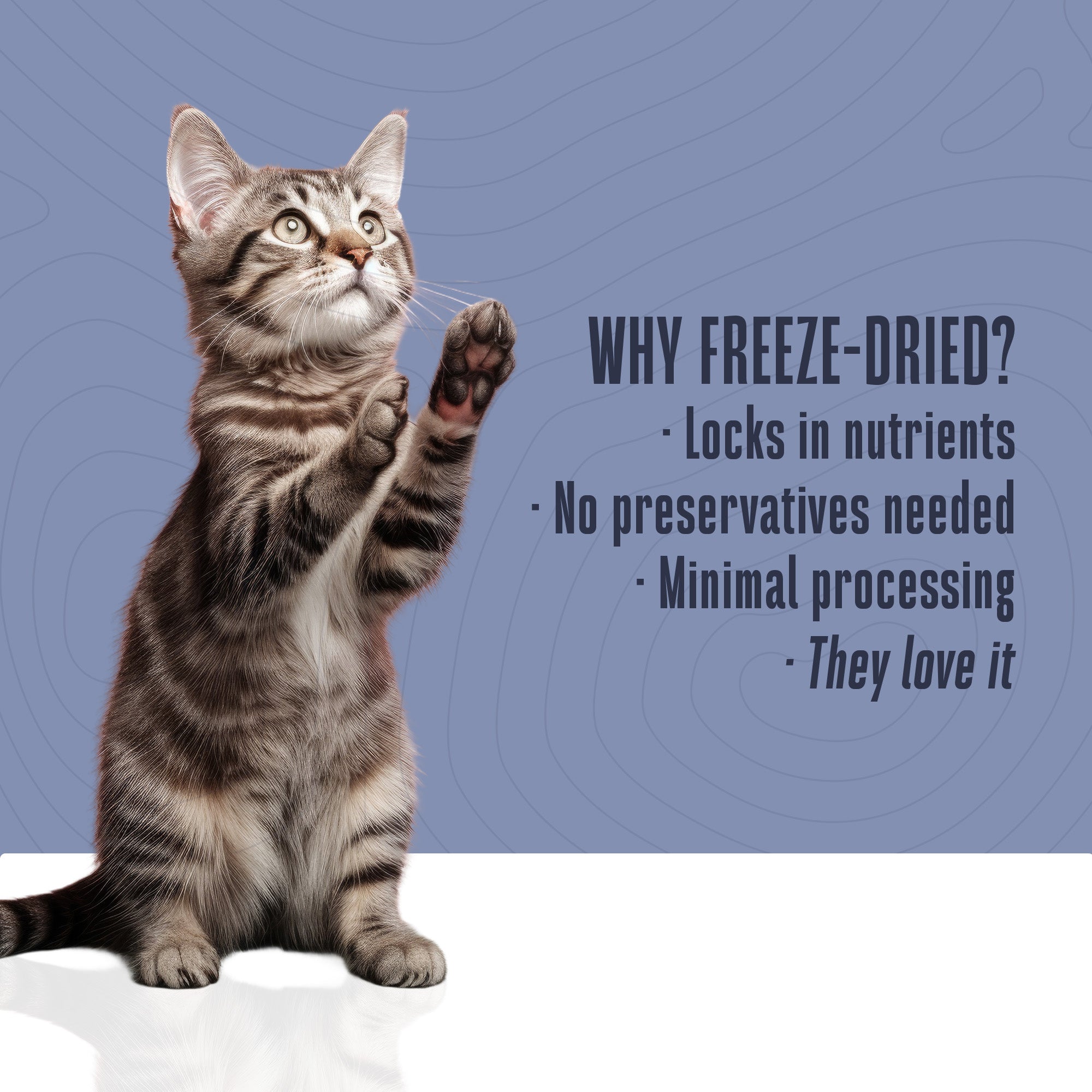 Just One Ingredient Beef Treats For Cats