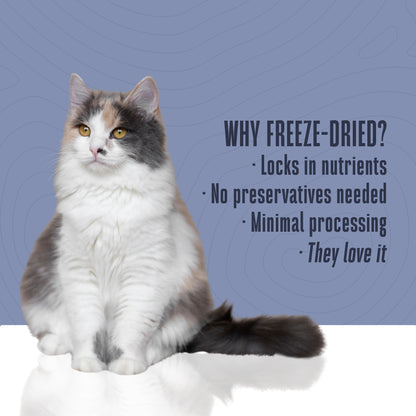 Just One Tuna Cat Treats – Human Grade, Picky Eater Approved, Made in Our Own Kitchens