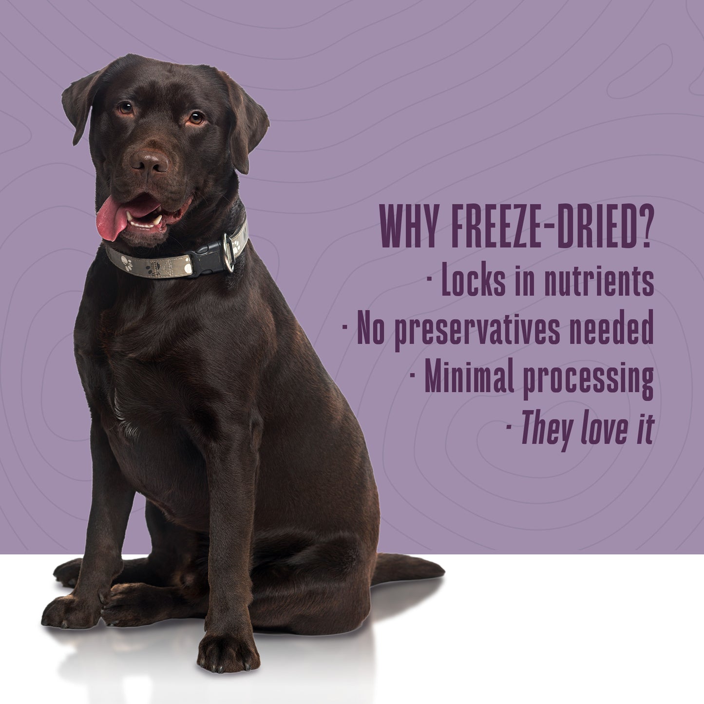 Suplementos alimenticios integrales para perros Nature's Remedy Healthy Gut 