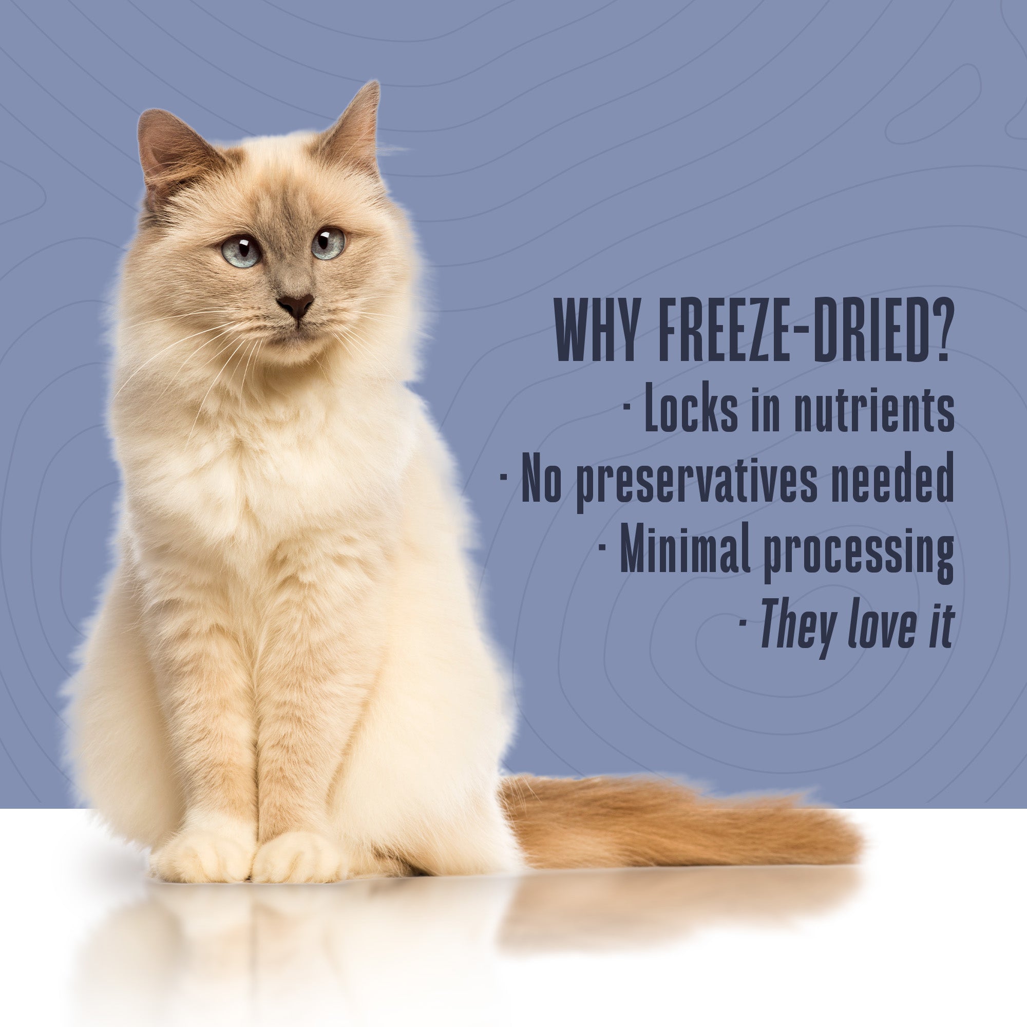 Living Treats – Healthy Skin Probiotic Snack For Cats