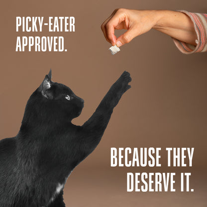 Paquete de muestra de un solo ingrediente para gatos (pida los 4 sabores y obtenga un 10 % de descuento)
