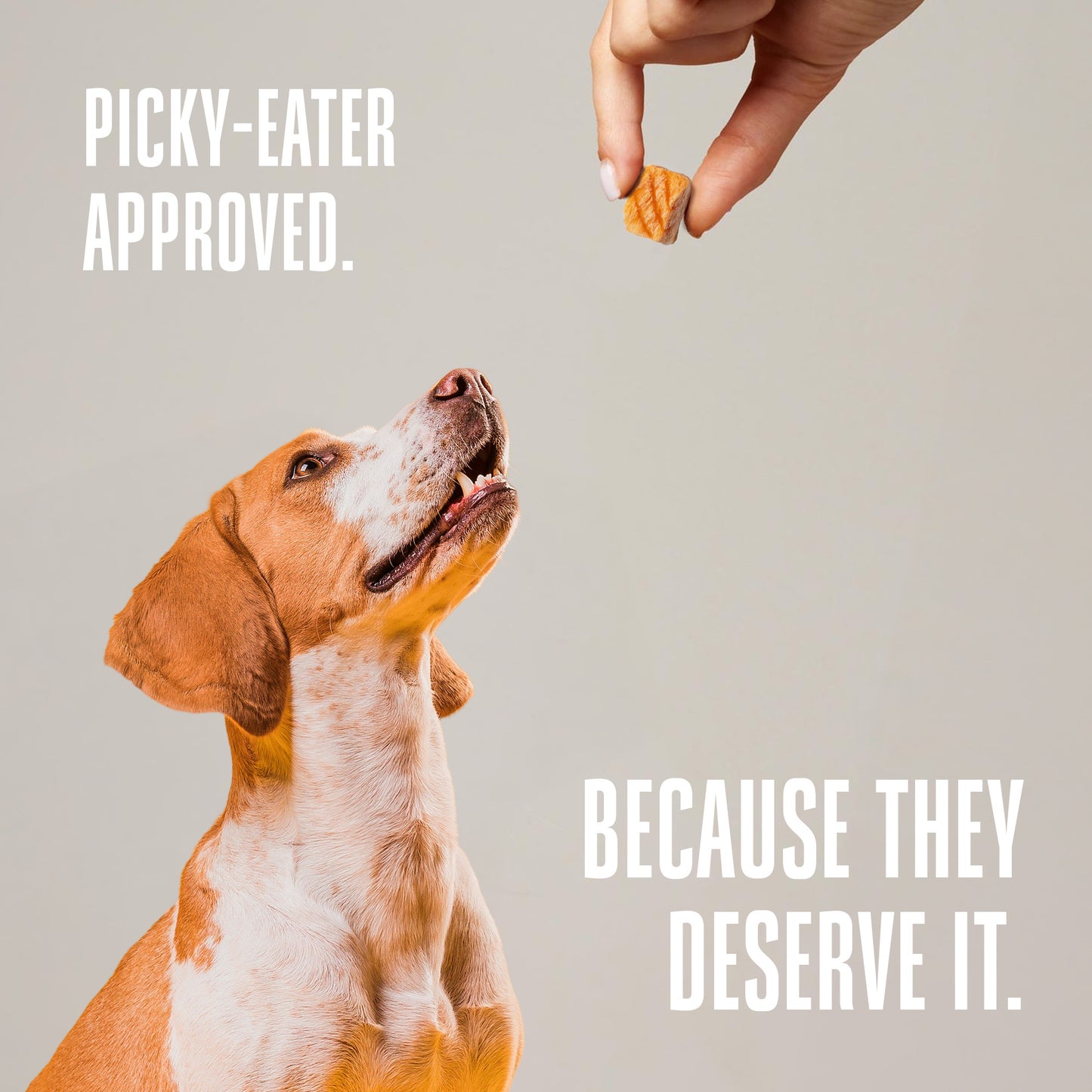 Golosinas de salmón para perros de un solo ingrediente