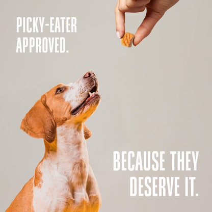 Golosinas de salmón para perros de un solo ingrediente