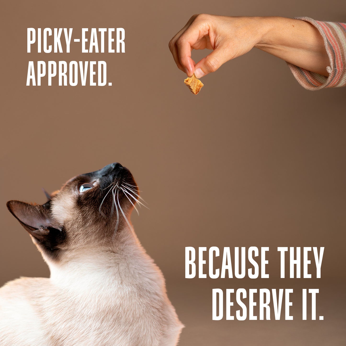 Just One Salmon Cat Treats – Human Grade, Picky Eater Approved, Made in Our Own Kitchens