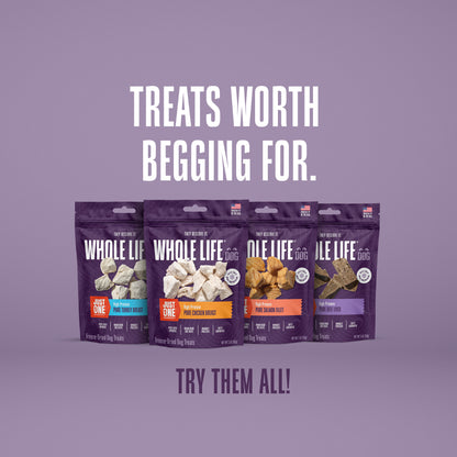 Just One Ingredient Beef Liver Treats For Dogs.  Human Grade and Grain Free - Made In Our Own Kitchen