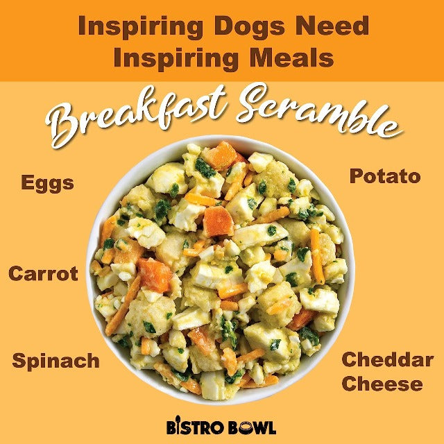 Bistro Bowls – 狗用早餐搅拌机