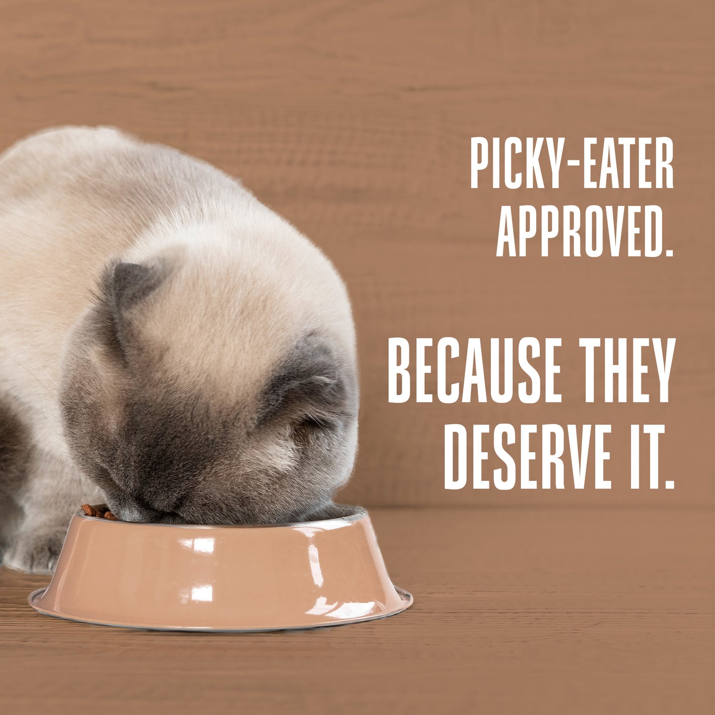 Hydrating Snack and Meal Complement For Cats – Healthy Gut Pâté